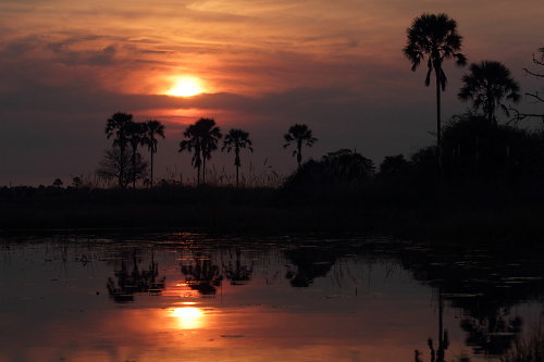 Okavango-11.JPG