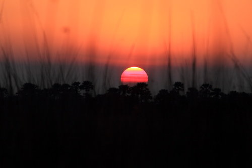 Okavango-12.JPG